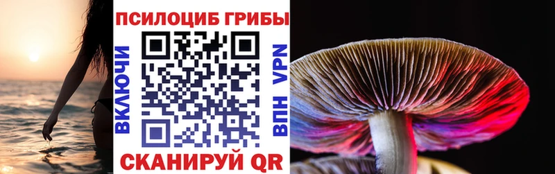Галлюциногенные грибы Cubensis цена Балей