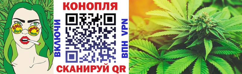 Шишки марихуана марихуана  Балей 